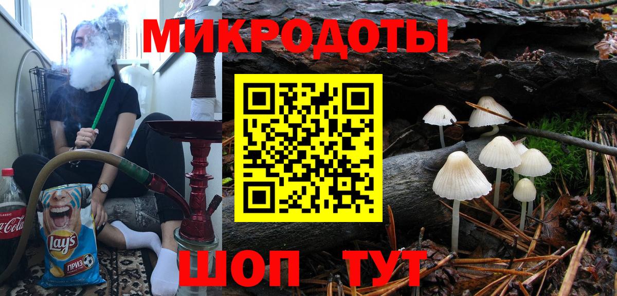 Галлюциногенные грибы Psilocybine cubensis Химки