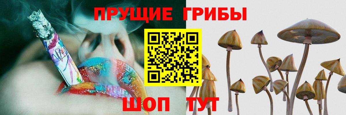 Псилоцибиновые грибы MAGIC MUSHROOMS  Псилоцибиновые грибы Psilocybe  Химки  Вход с VPN 